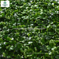 interlocking tiles artificial green grass panel for fence wall